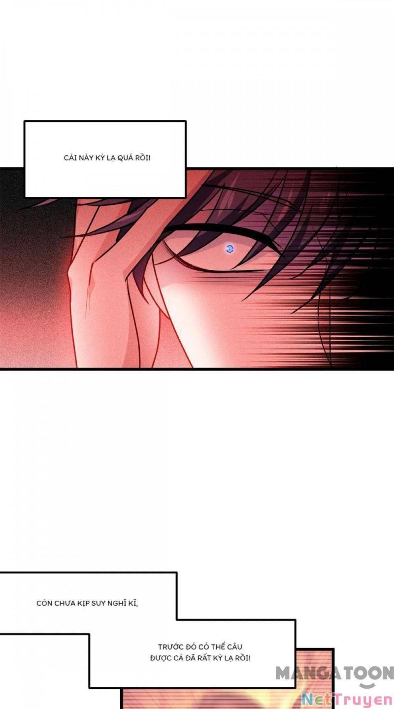 Bị Cắn Thành Vương Giả Chapter 25 - Trang 2