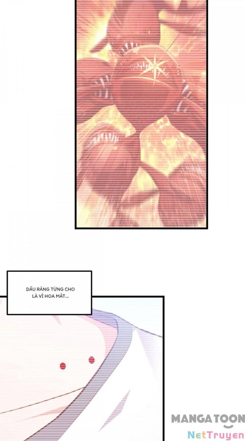Bị Cắn Thành Vương Giả Chapter 25 - Trang 2