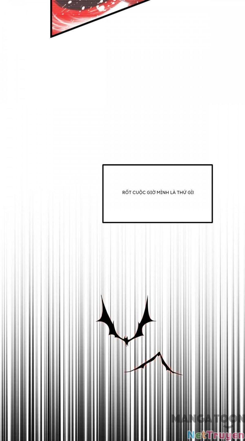 Bị Cắn Thành Vương Giả Chapter 25 - Trang 2