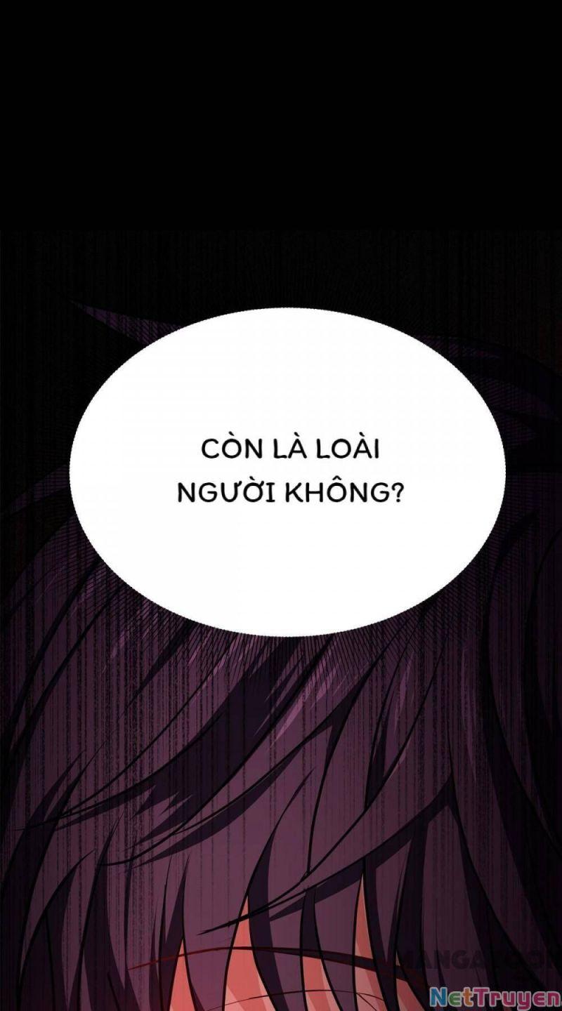 Bị Cắn Thành Vương Giả Chapter 25 - Trang 2