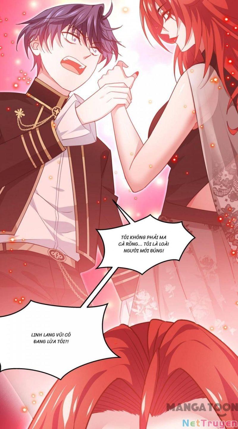 Bị Cắn Thành Vương Giả Chapter 26 - Trang 2