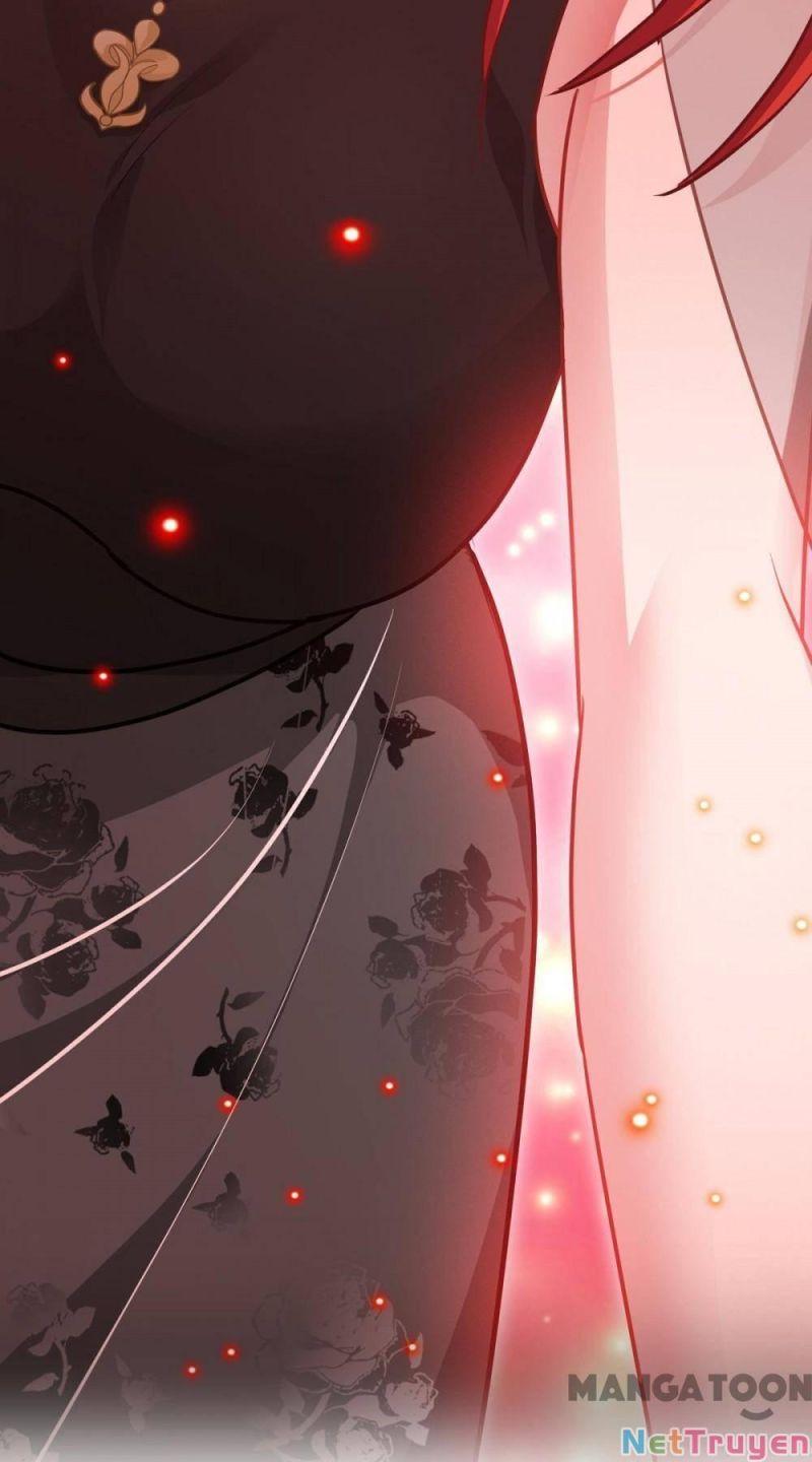 Bị Cắn Thành Vương Giả Chapter 26 - Trang 2