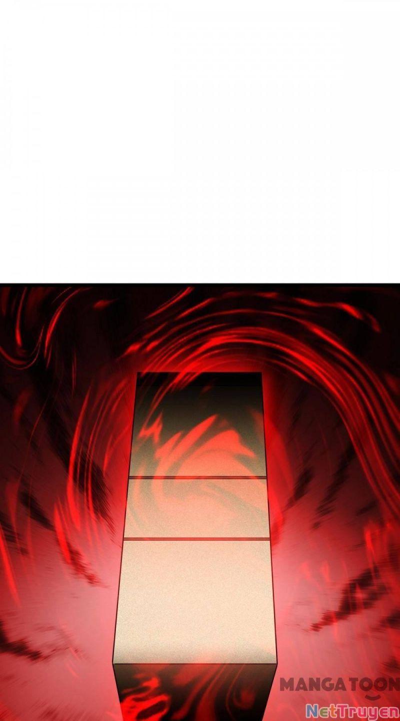 Bị Cắn Thành Vương Giả Chapter 27 - Trang 2