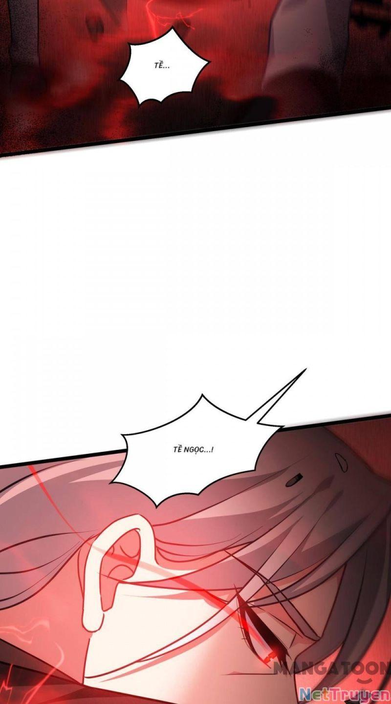Bị Cắn Thành Vương Giả Chapter 27 - Trang 2