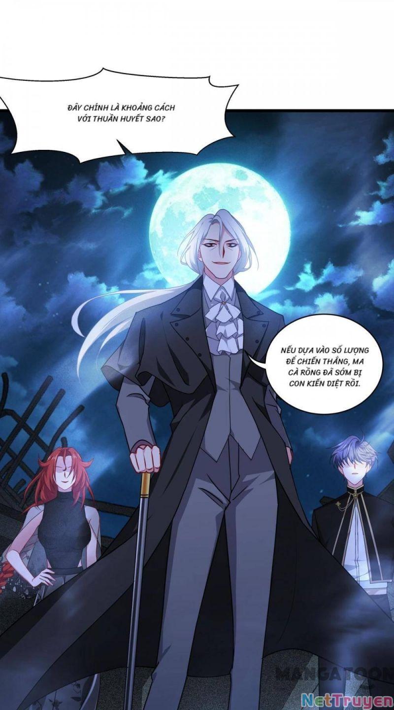 Bị Cắn Thành Vương Giả Chapter 28 - Trang 2