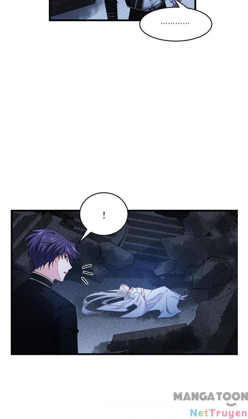 Bị Cắn Thành Vương Giả Chapter 28 - Trang 2