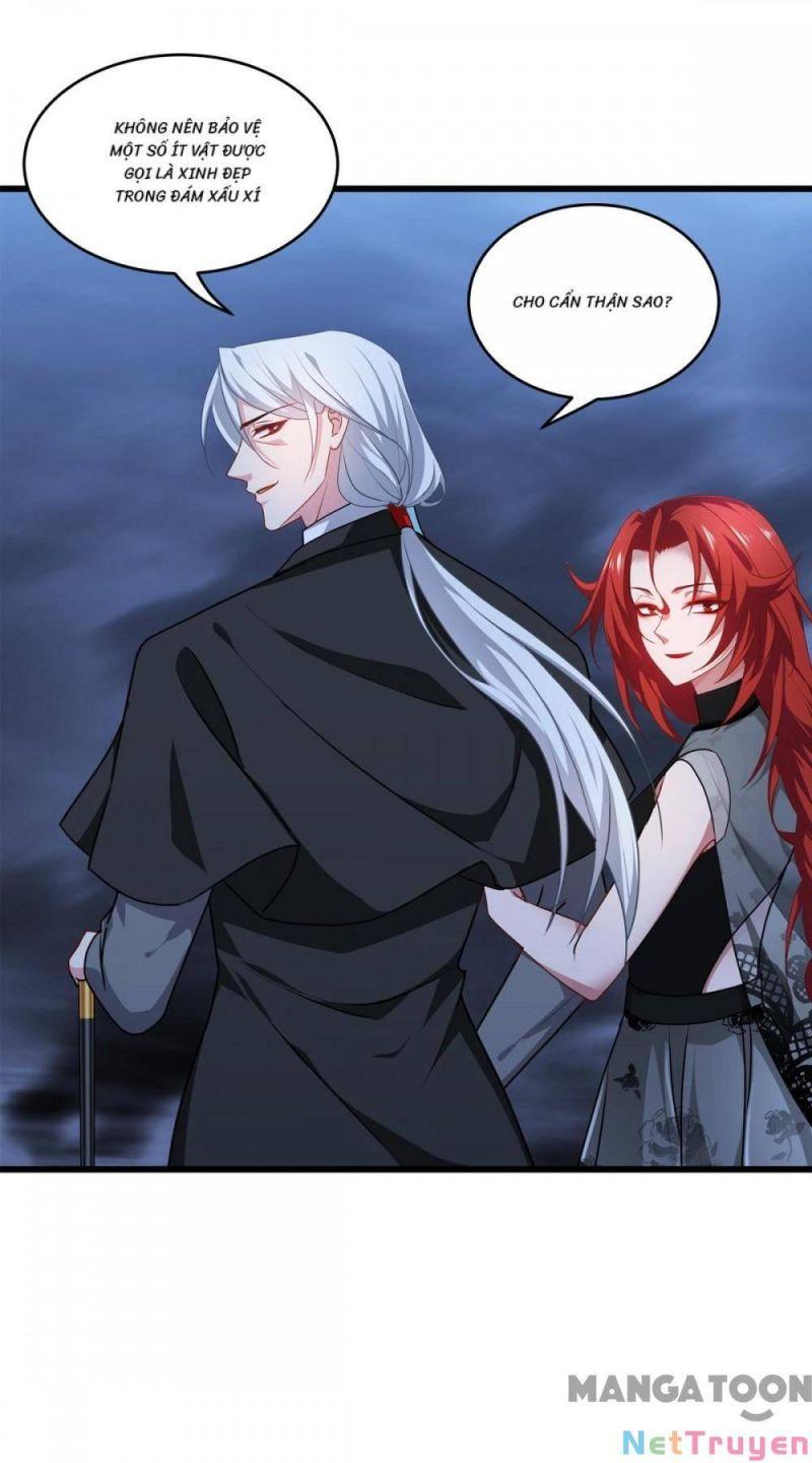 Bị Cắn Thành Vương Giả Chapter 28 - Trang 2