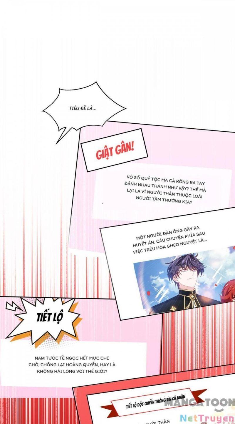 Bị Cắn Thành Vương Giả Chapter 28 - Trang 2