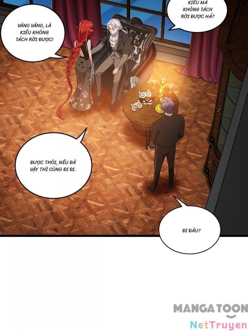 Bị Cắn Thành Vương Giả Chapter 28 - Trang 2