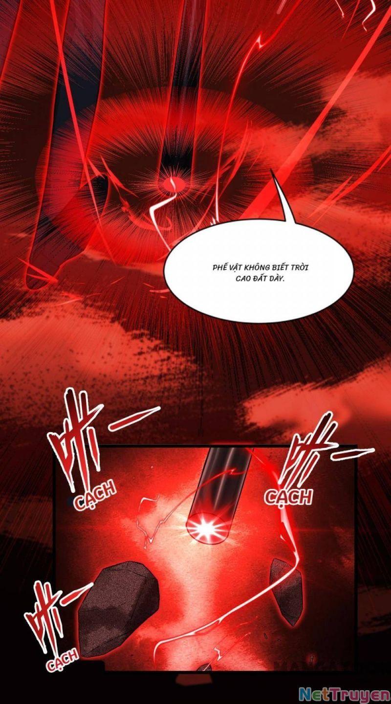 Bị Cắn Thành Vương Giả Chapter 28 - Trang 2