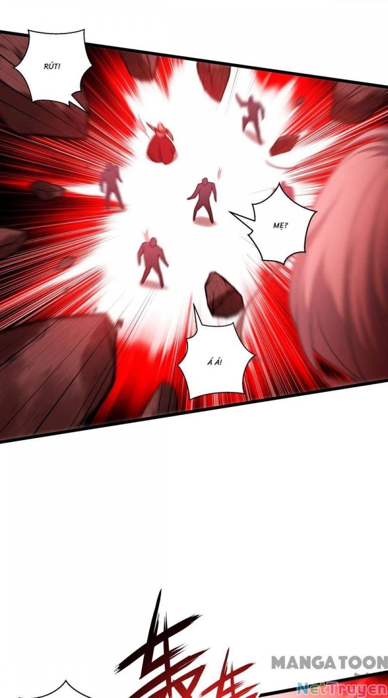Bị Cắn Thành Vương Giả Chapter 28 - Trang 2