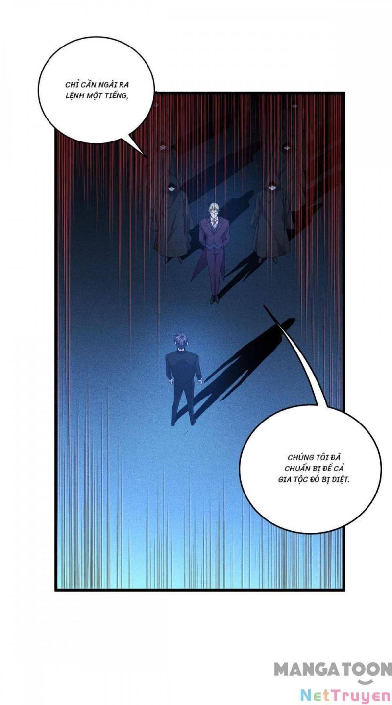 Bị Cắn Thành Vương Giả Chapter 29 - Trang 2