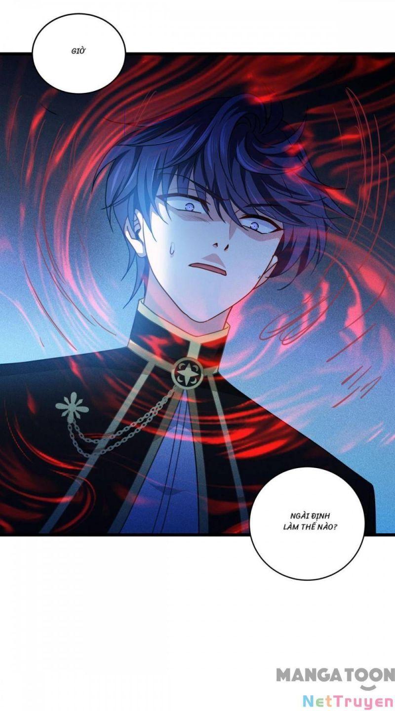 Bị Cắn Thành Vương Giả Chapter 29 - Trang 2