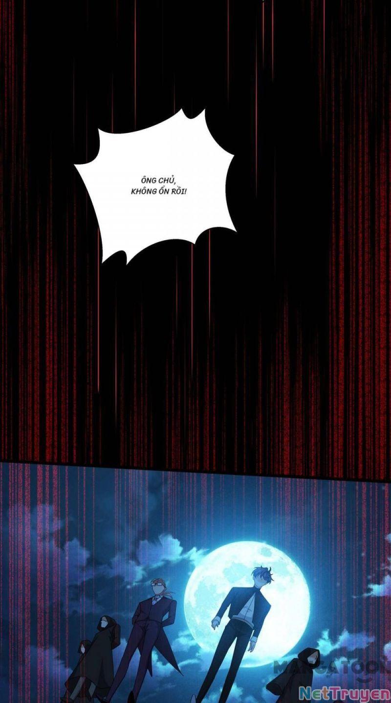 Bị Cắn Thành Vương Giả Chapter 29 - Trang 2