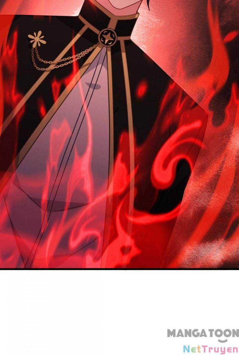 Bị Cắn Thành Vương Giả Chapter 30 - Trang 2