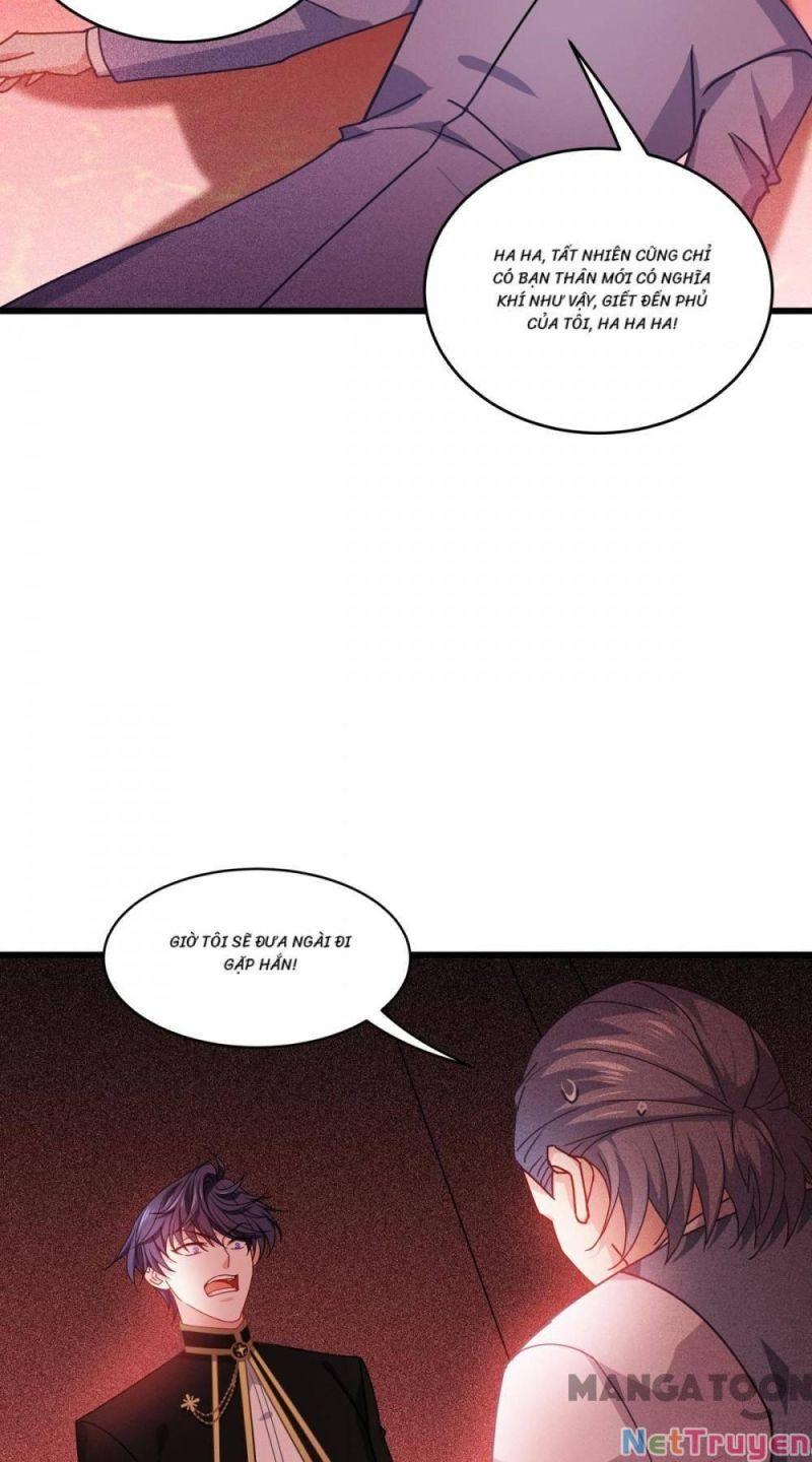 Bị Cắn Thành Vương Giả Chapter 30 - Trang 2