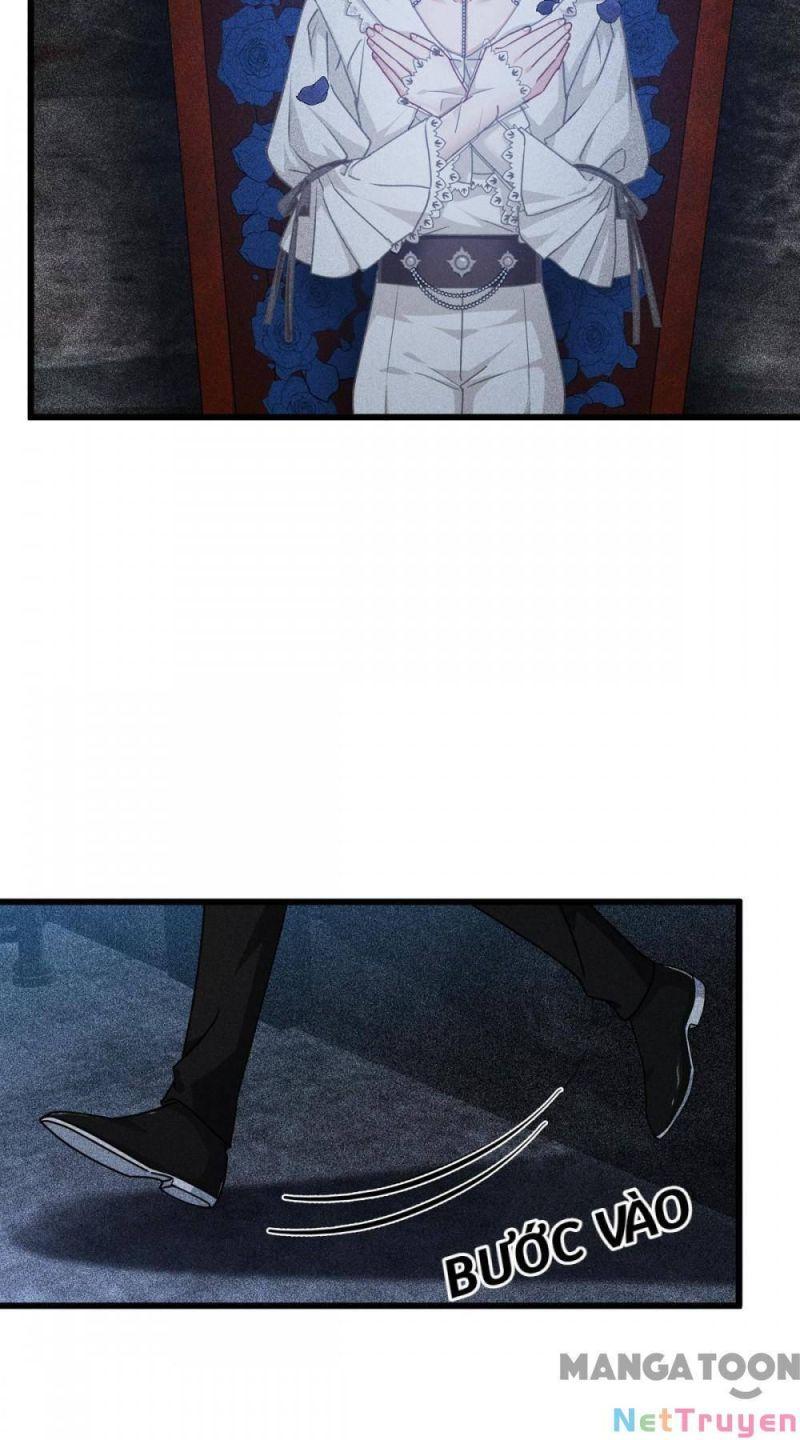 Bị Cắn Thành Vương Giả Chapter 30 - Trang 2