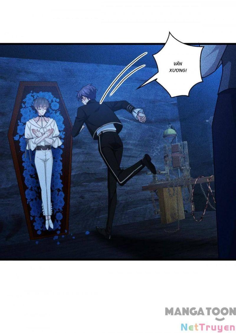Bị Cắn Thành Vương Giả Chapter 30 - Trang 2