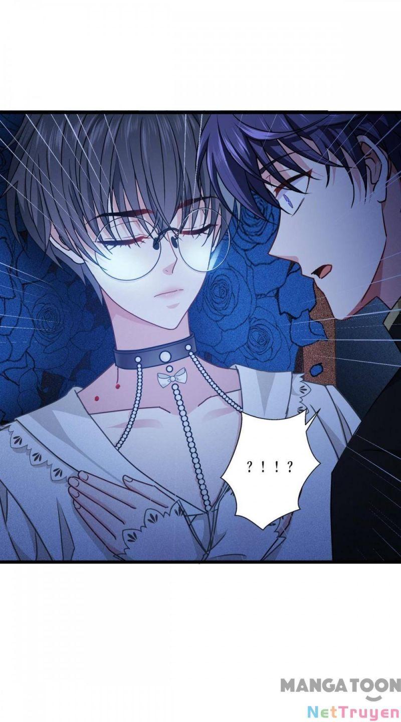 Bị Cắn Thành Vương Giả Chapter 30 - Trang 2