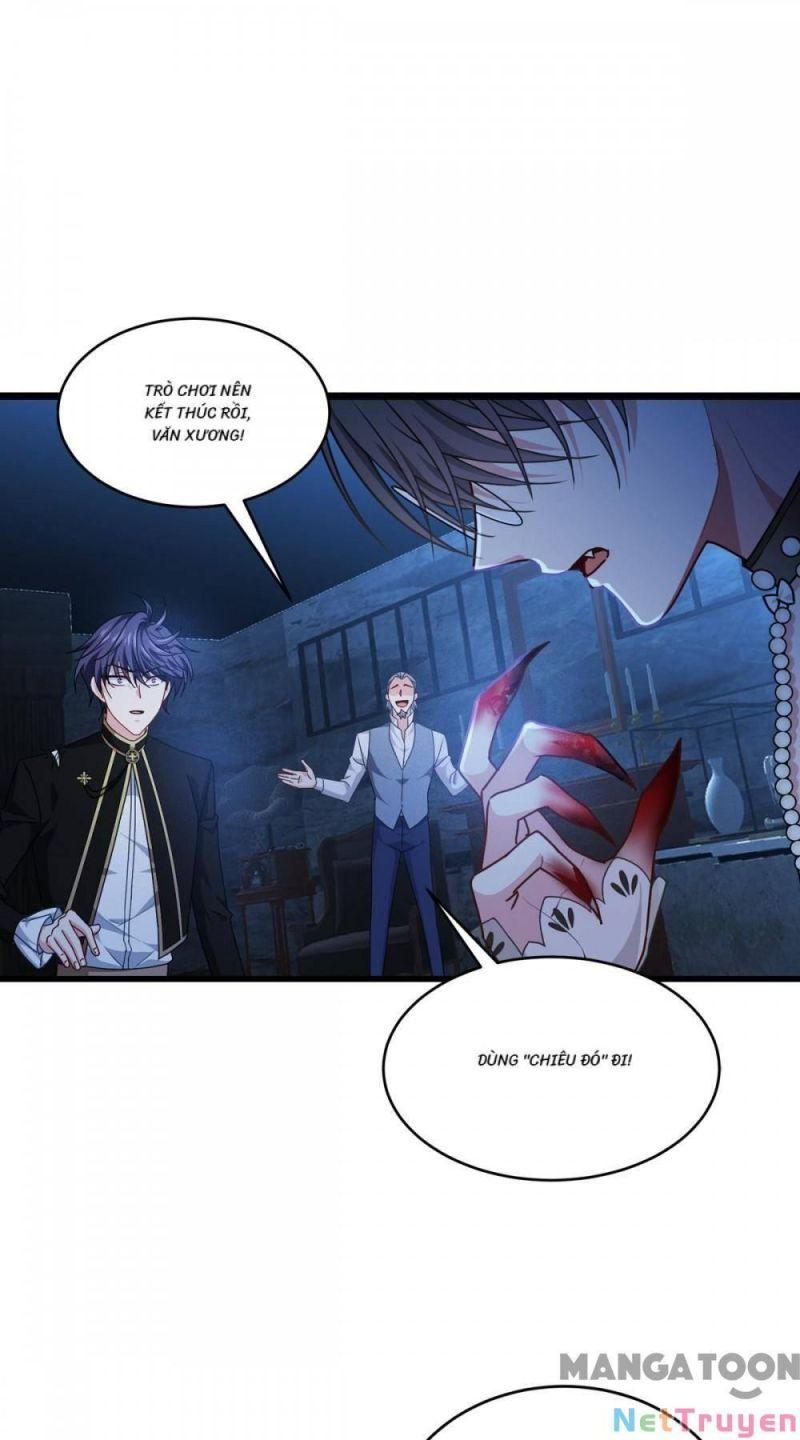 Bị Cắn Thành Vương Giả Chapter 31 - Trang 2
