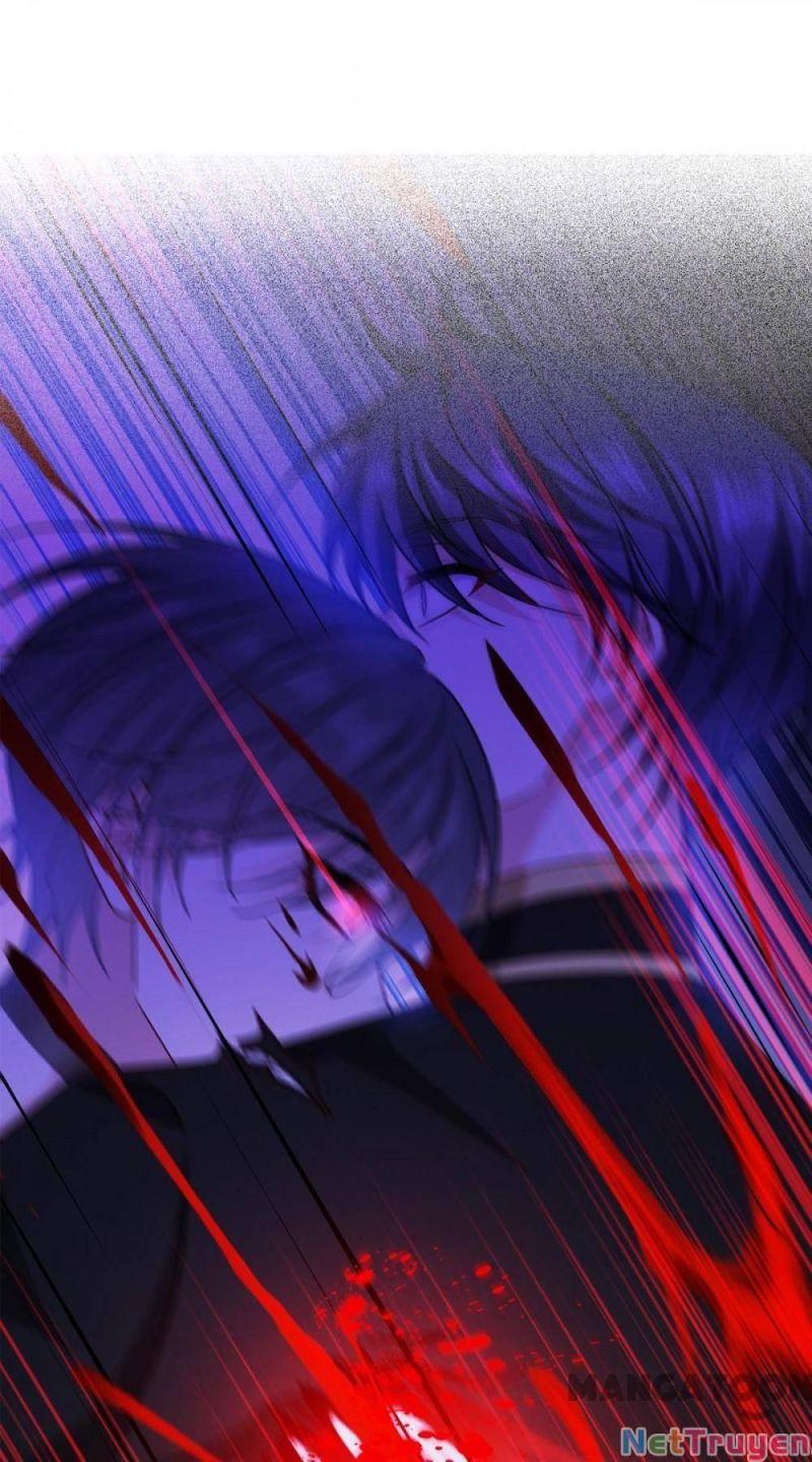 Bị Cắn Thành Vương Giả Chapter 31 - Trang 2