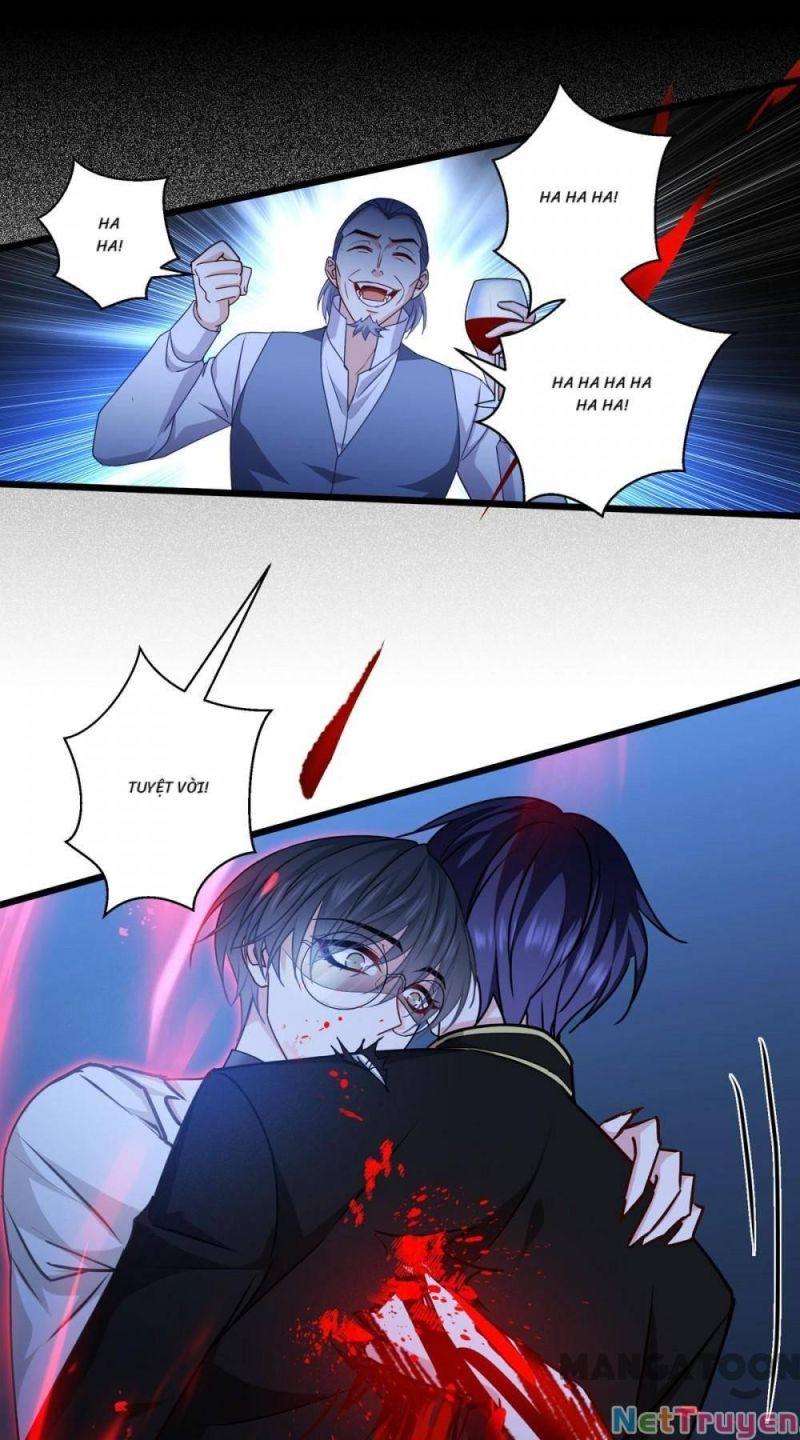 Bị Cắn Thành Vương Giả Chapter 31 - Trang 2