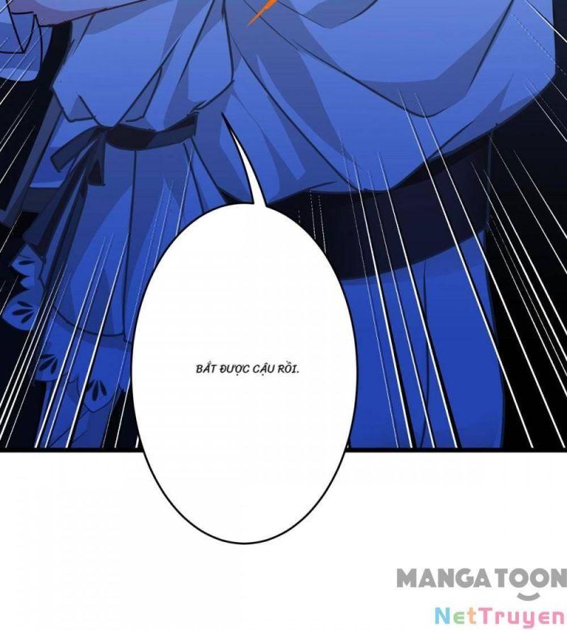 Bị Cắn Thành Vương Giả Chapter 31 - Trang 2
