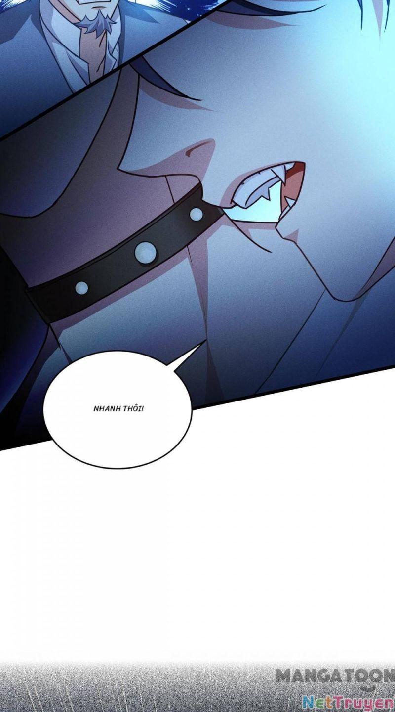Bị Cắn Thành Vương Giả Chapter 31 - Trang 2