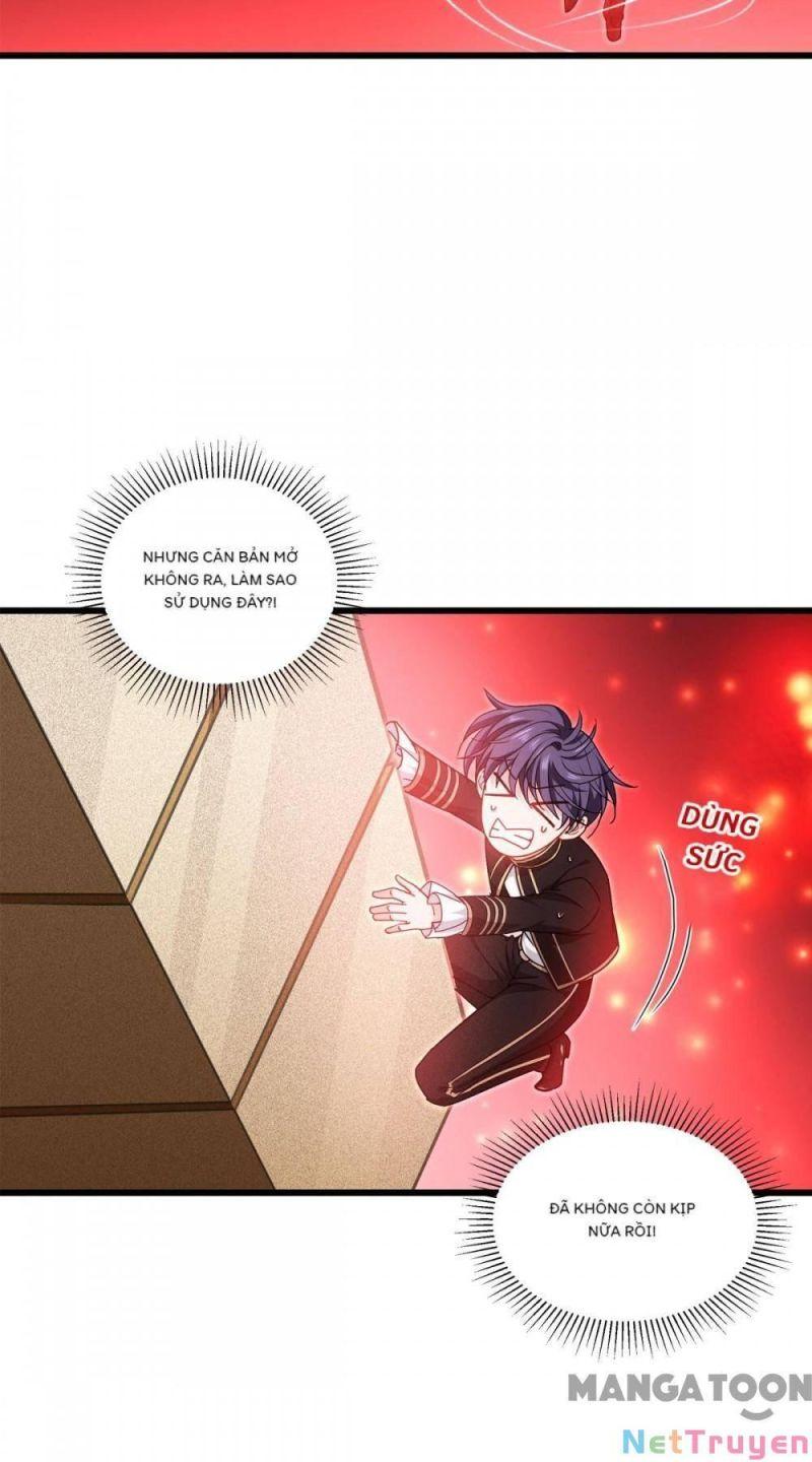 Bị Cắn Thành Vương Giả Chapter 31 - Trang 2