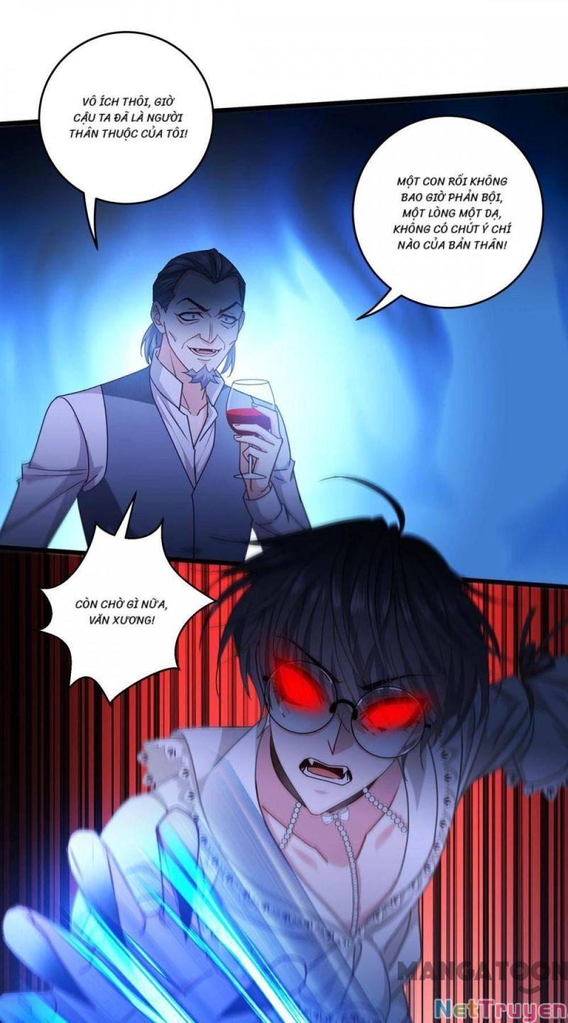 Bị Cắn Thành Vương Giả Chapter 31 - Trang 2