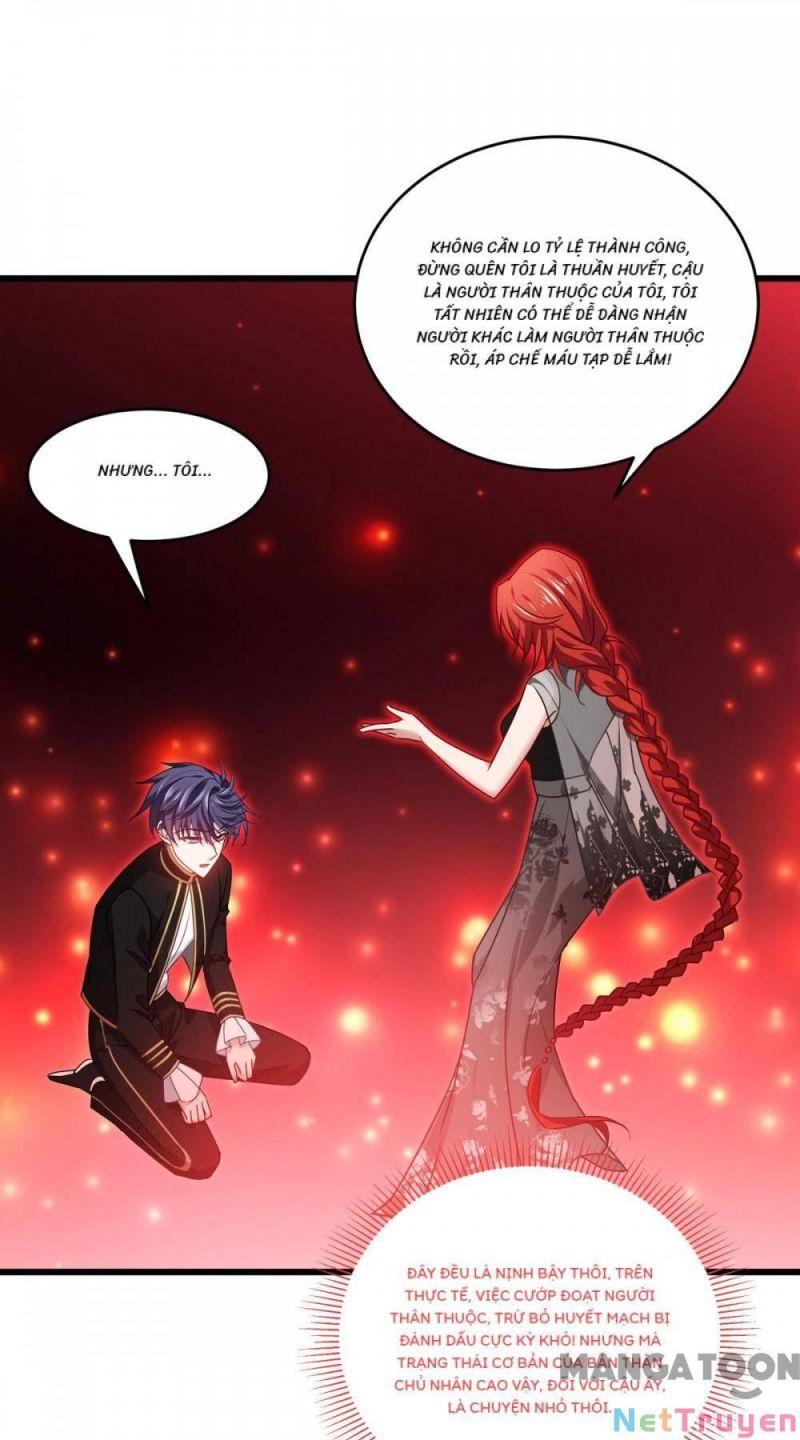 Bị Cắn Thành Vương Giả Chapter 31 - Trang 2