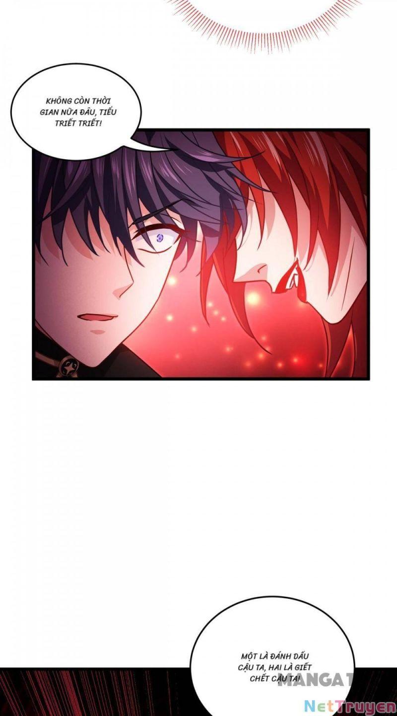 Bị Cắn Thành Vương Giả Chapter 31 - Trang 2