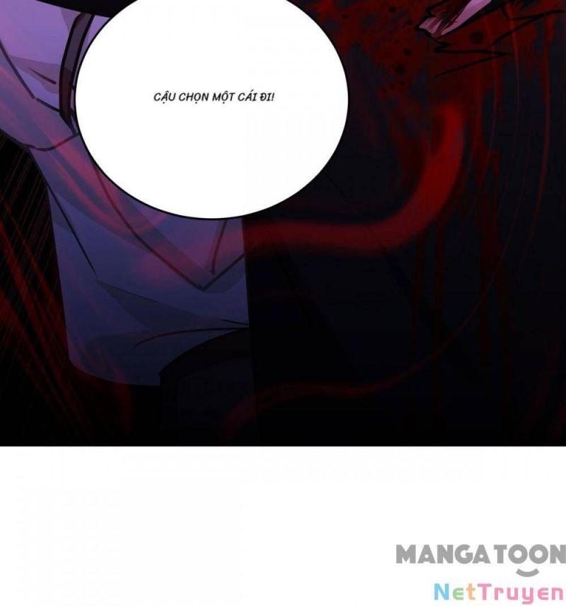 Bị Cắn Thành Vương Giả Chapter 31 - Trang 2