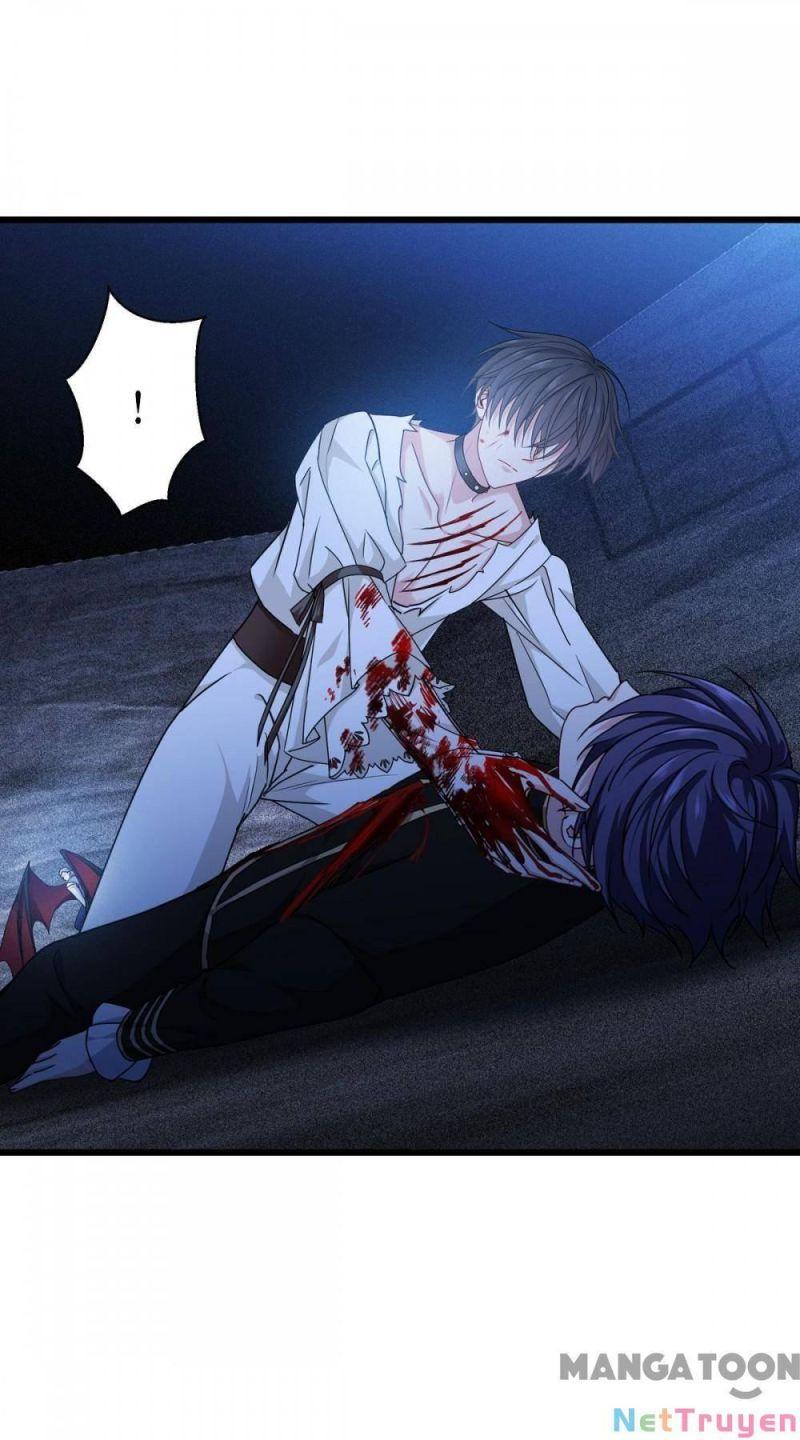 Bị Cắn Thành Vương Giả Chapter 32 - Trang 2