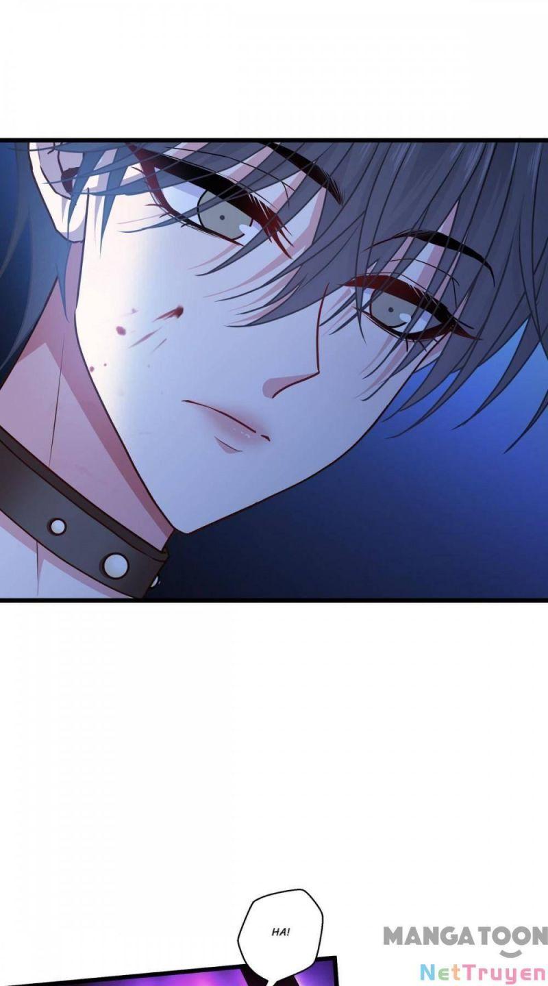 Bị Cắn Thành Vương Giả Chapter 32 - Trang 2