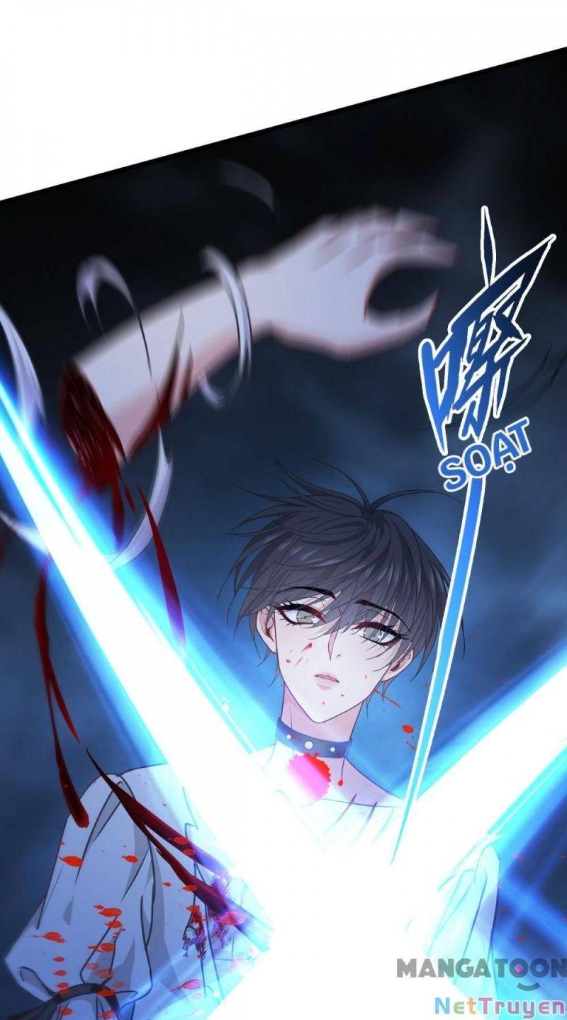 Bị Cắn Thành Vương Giả Chapter 32 - Trang 2