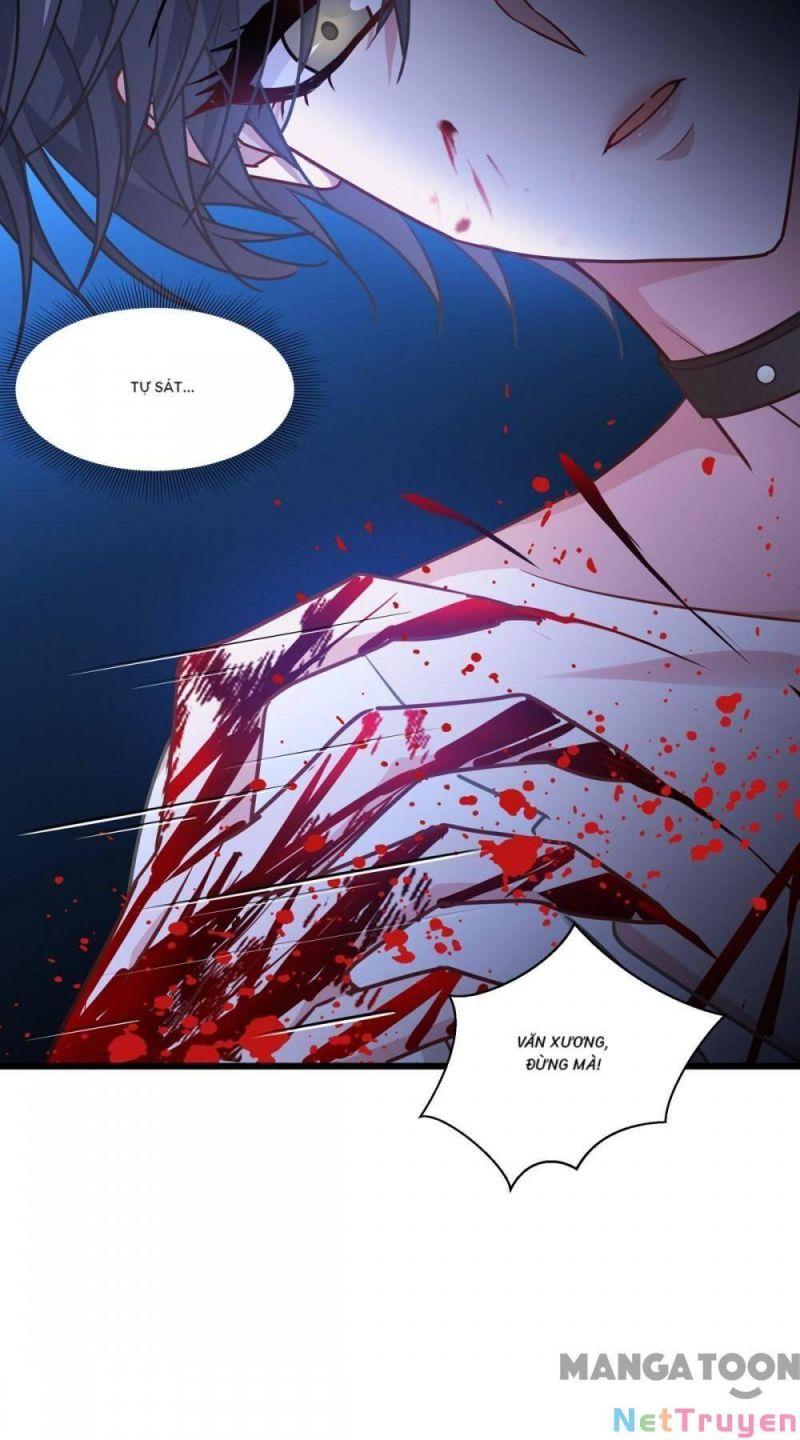 Bị Cắn Thành Vương Giả Chapter 33 - Trang 2