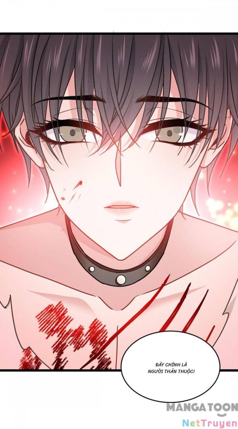 Bị Cắn Thành Vương Giả Chapter 33 - Trang 2