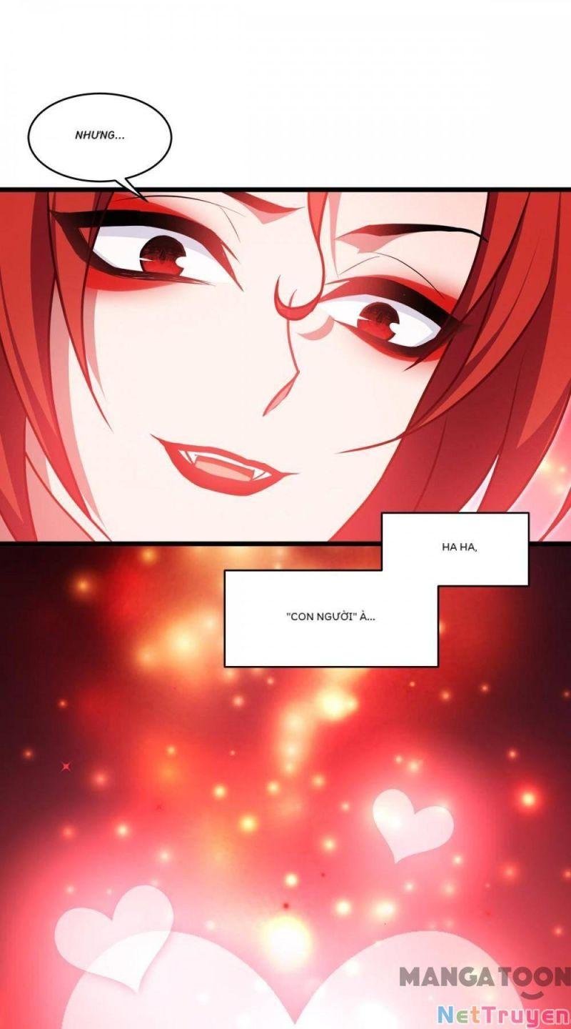 Bị Cắn Thành Vương Giả Chapter 33 - Trang 2