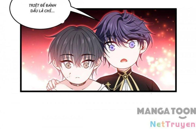 Bị Cắn Thành Vương Giả Chapter 33 - Trang 2