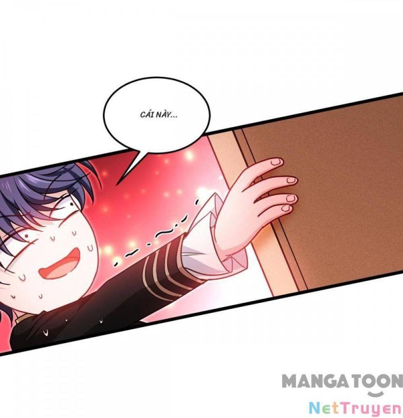 Bị Cắn Thành Vương Giả Chapter 33 - Trang 2