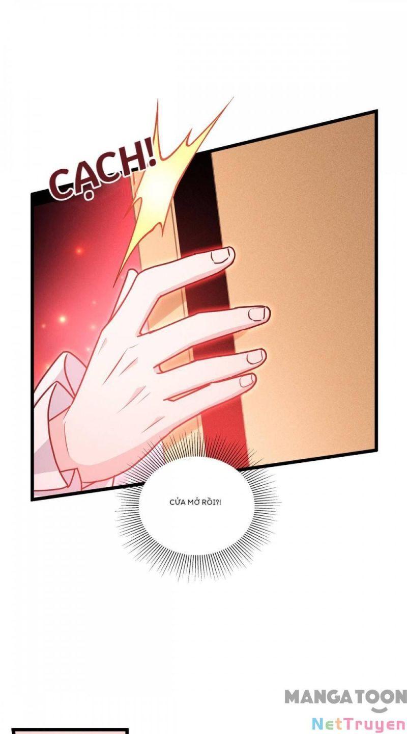 Bị Cắn Thành Vương Giả Chapter 33 - Trang 2