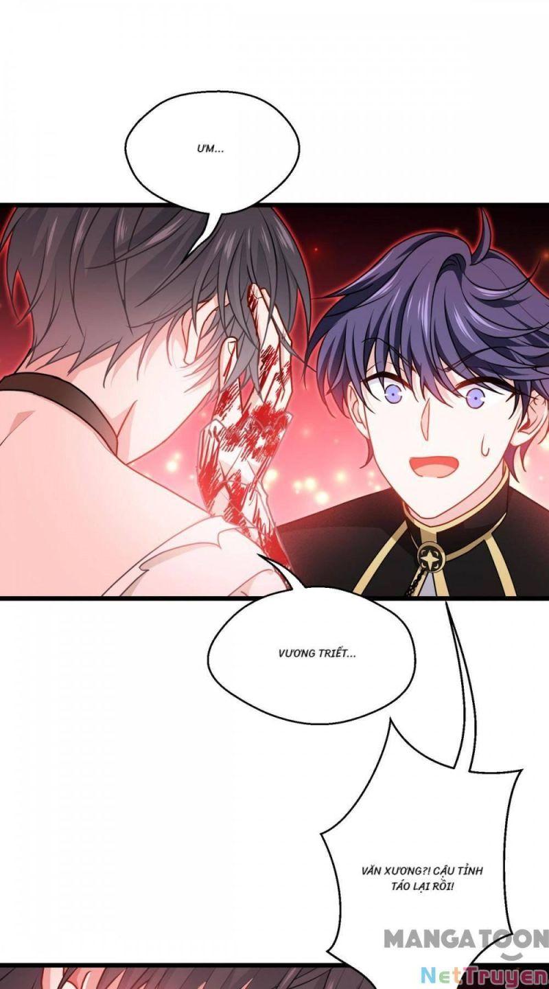 Bị Cắn Thành Vương Giả Chapter 33 - Trang 2