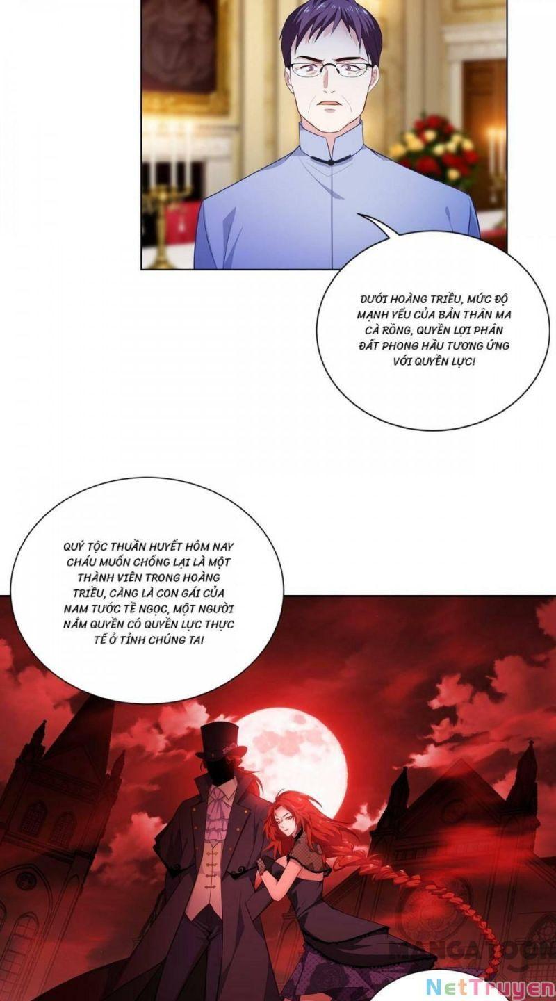 Bị Cắn Thành Vương Giả Chapter 5 - Trang 2