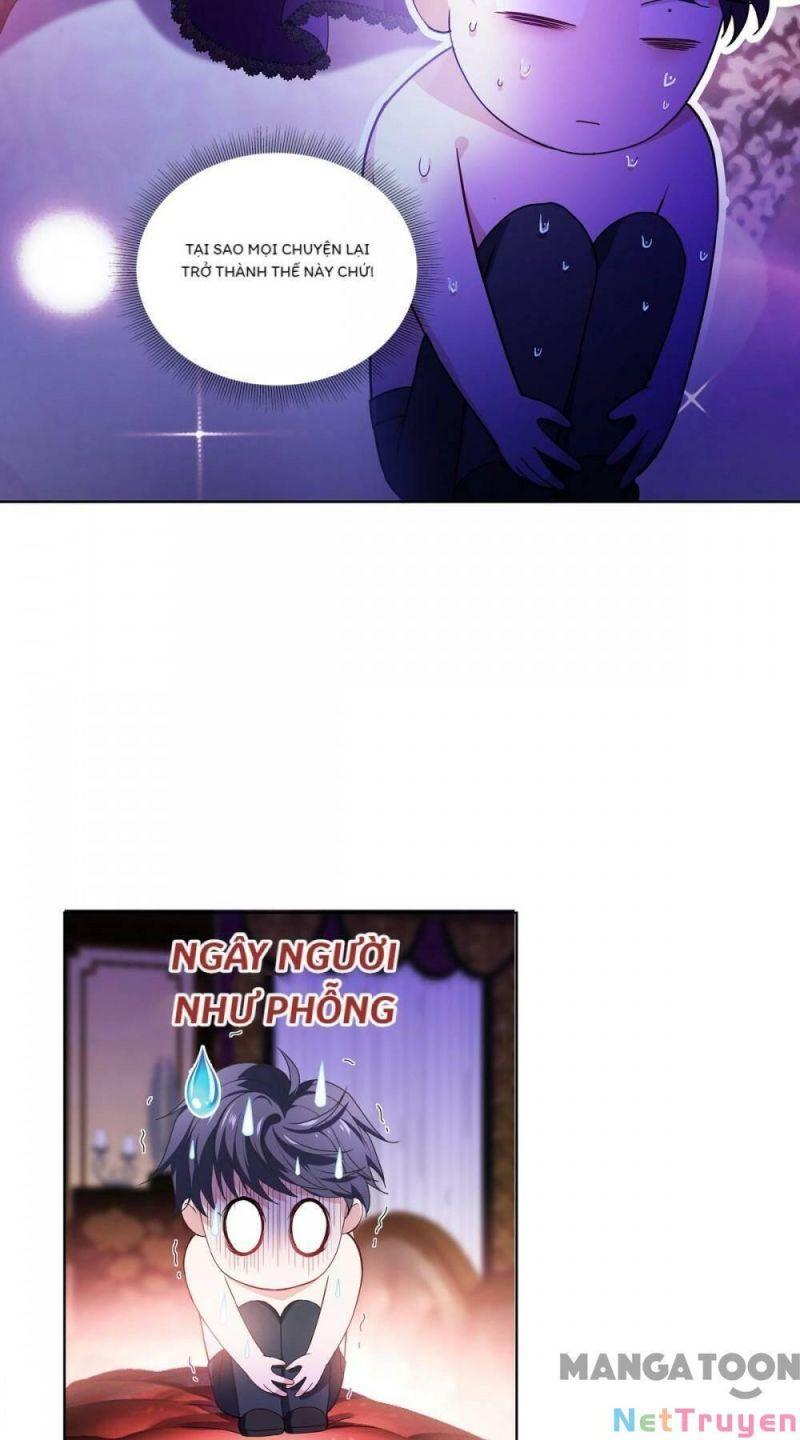 Bị Cắn Thành Vương Giả Chapter 6 - Trang 2