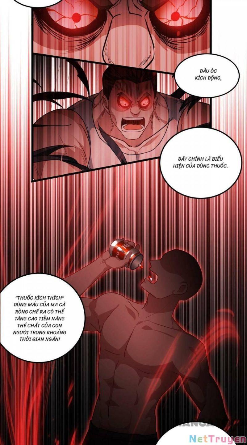 Bị Cắn Thành Vương Giả Chapter 8 - Trang 2