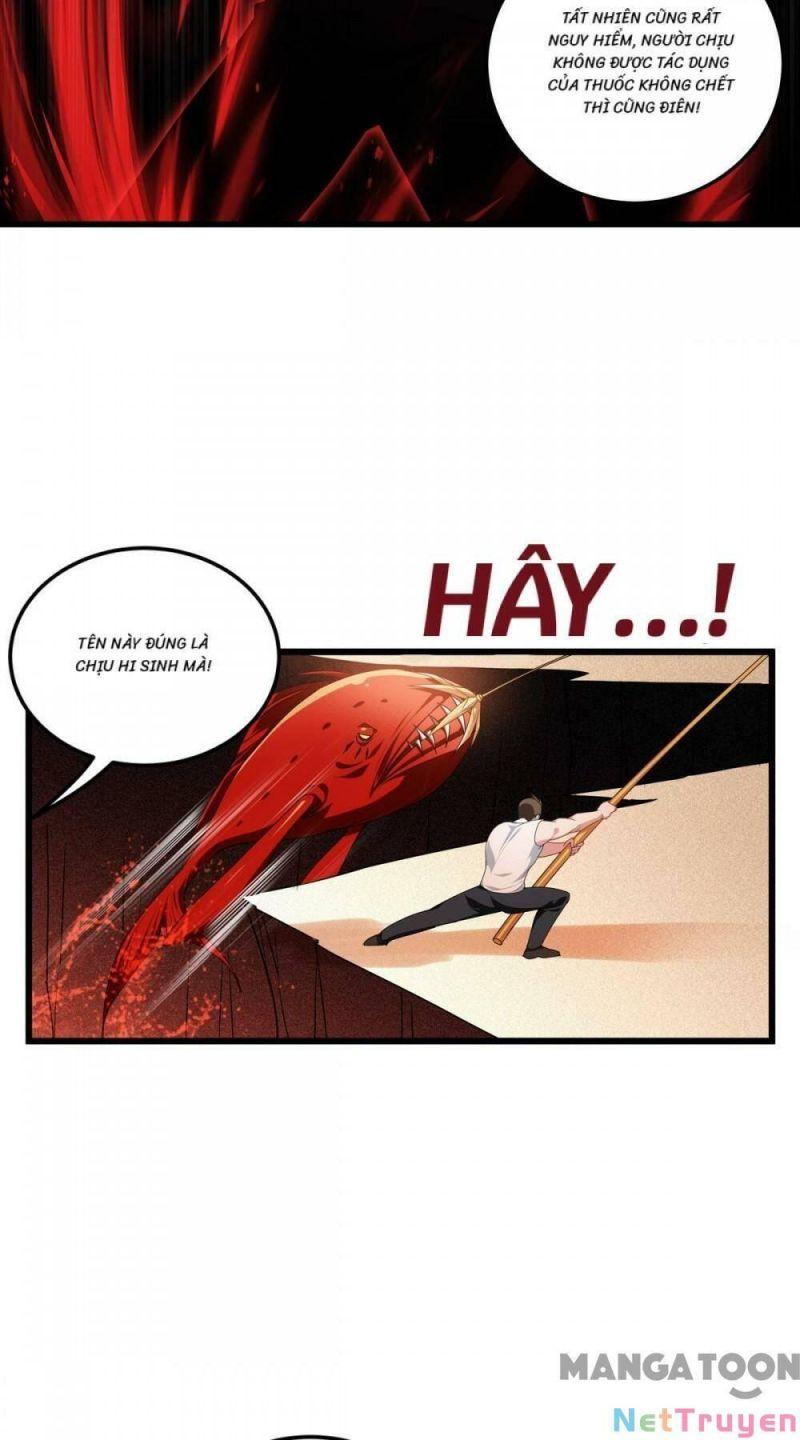 Bị Cắn Thành Vương Giả Chapter 8 - Trang 2