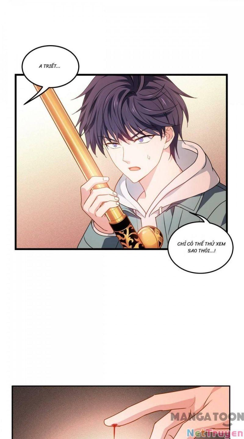 Bị Cắn Thành Vương Giả Chapter 8 - Trang 2