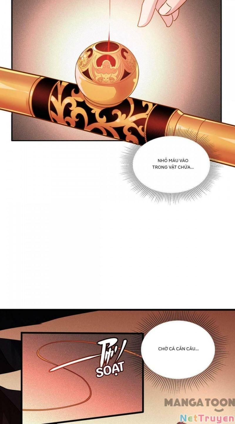 Bị Cắn Thành Vương Giả Chapter 8 - Trang 2