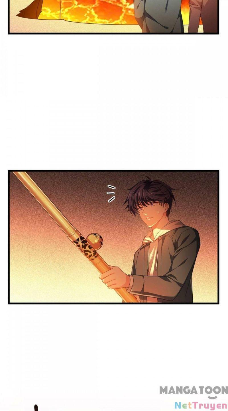 Bị Cắn Thành Vương Giả Chapter 8 - Trang 2